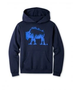 Stio Kids Bison Perch Hoodie Hoodies