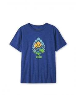 Stio Kids' Pinecone Globe Tee